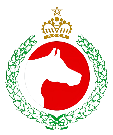 le cheval arabe