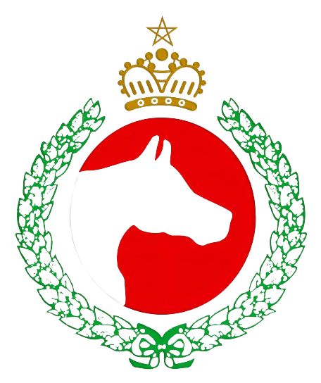le cheval arabe